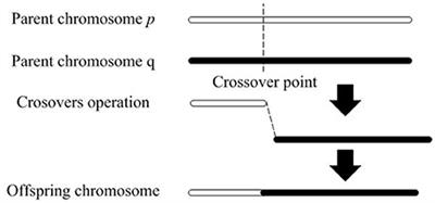 Bio-Inspired Genetic Algorithms with Formalized Crossover Operators for Robotic Applications